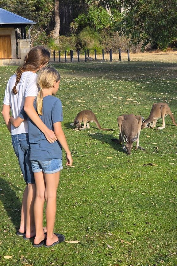 Kinder und Kängurus